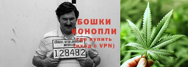 шишки Алексеевка