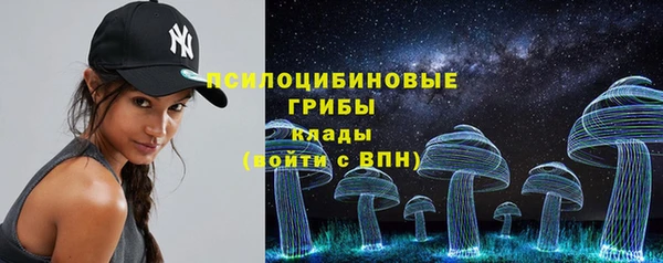 шишки Алексеевка