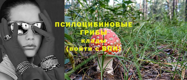 скорость Алексин