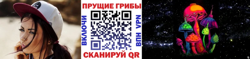 Галлюциногенные грибы Magic Shrooms  Богородск 